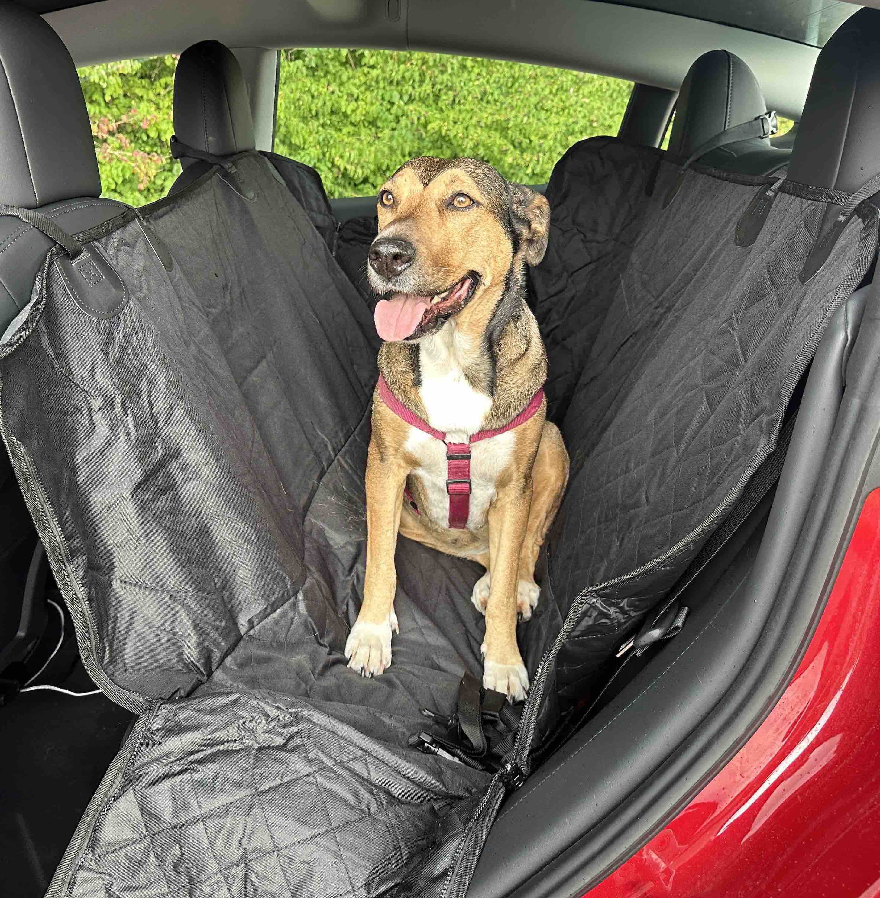 Hunde Sitzbezug für die Rücksitzbank für Tesla Model 3 & Tesla Model Y, Tier Schutzbezug