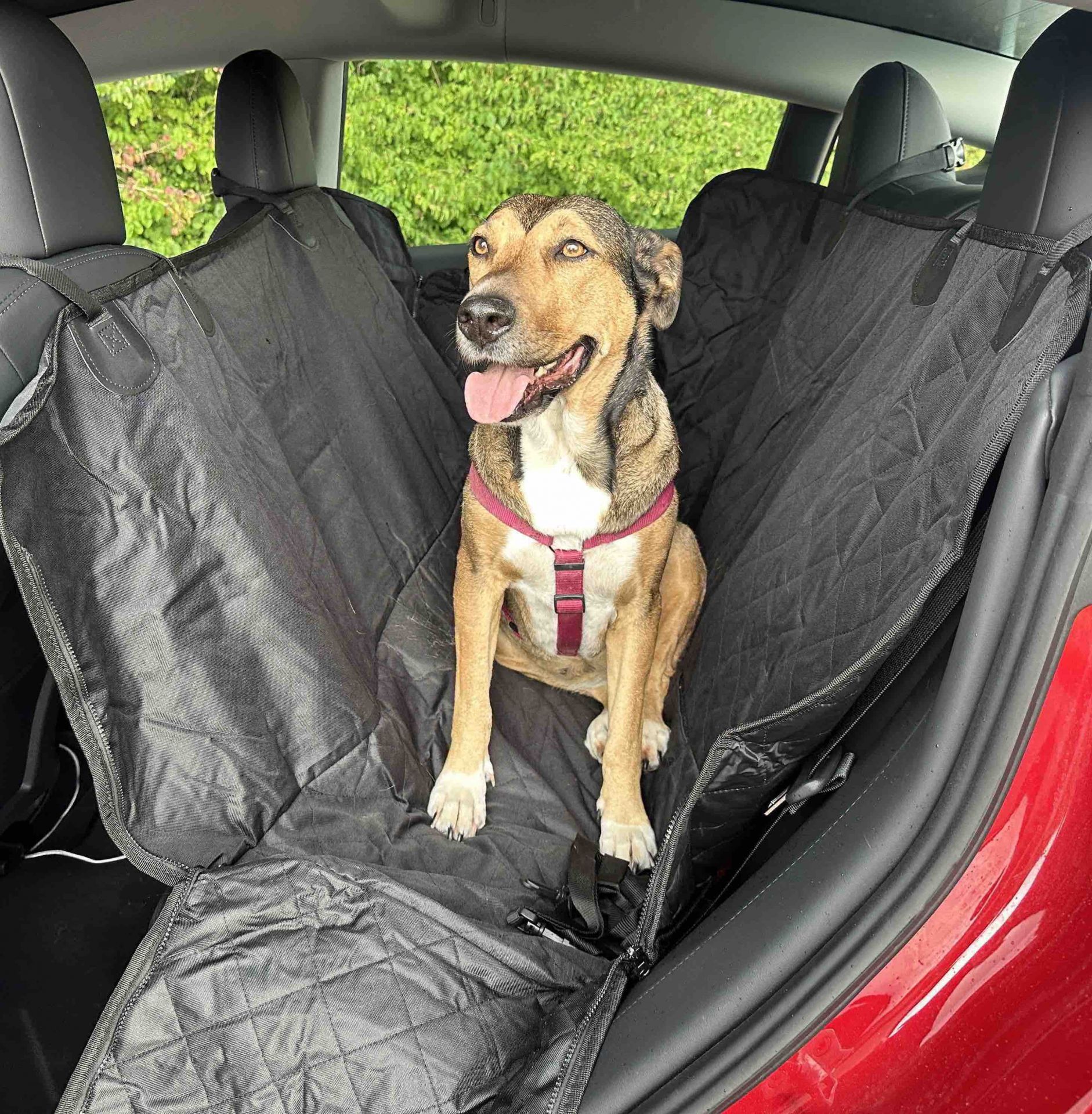 Autositzbezug Für Hunde – Für Mitsubishi Space Star, Mit Seitenklappen, Wasserabweisend, Maschinenwaschbar
